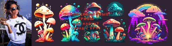 хмурый Касимов